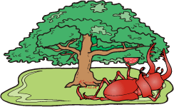 kunuginomori_banner.jpg