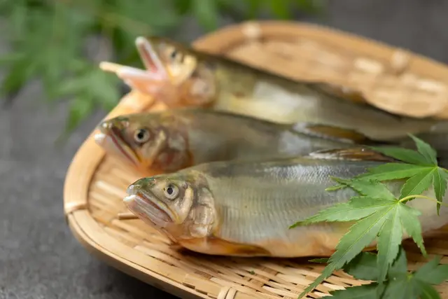 こだわりの鮎